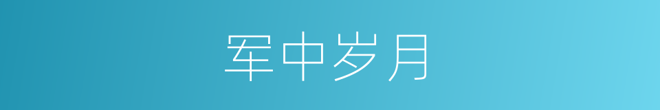 军中岁月的同义词