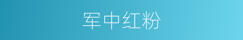 军中红粉的同义词