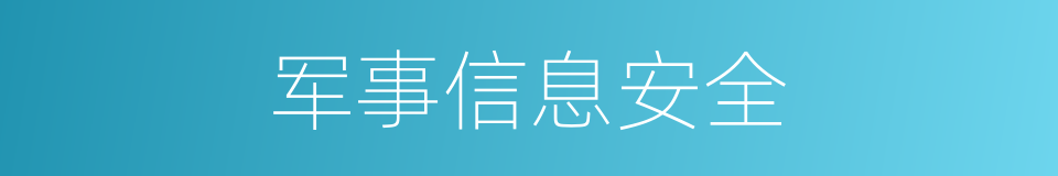 军事信息安全的同义词