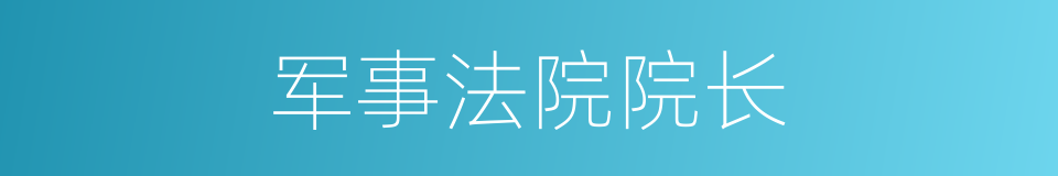 军事法院院长的同义词