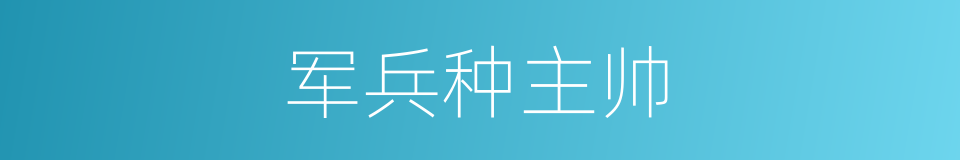 军兵种主帅的同义词