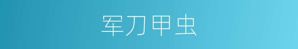 军刀甲虫的同义词