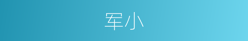 军小的同义词
