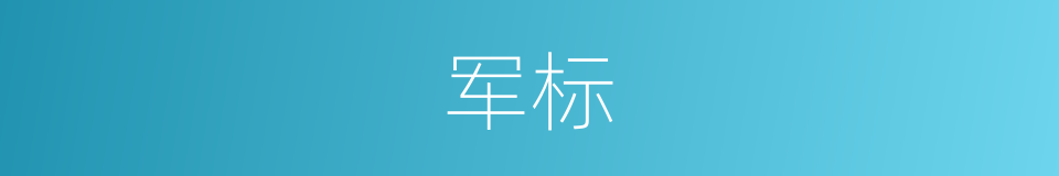 军标的意思