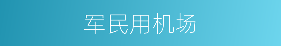 军民用机场的同义词