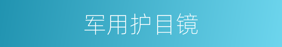 军用护目镜的同义词