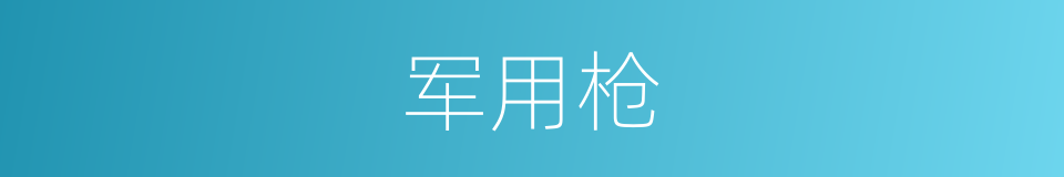 军用枪的同义词