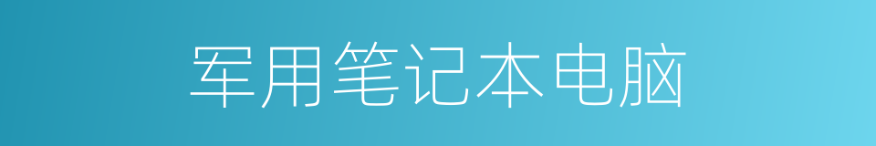 军用笔记本电脑的同义词