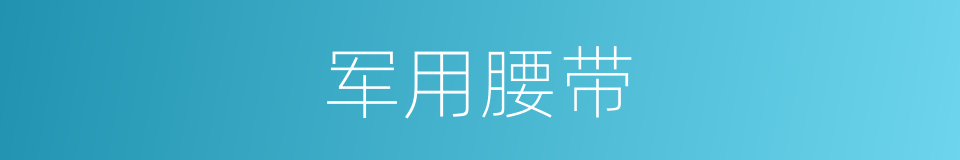 军用腰带的同义词