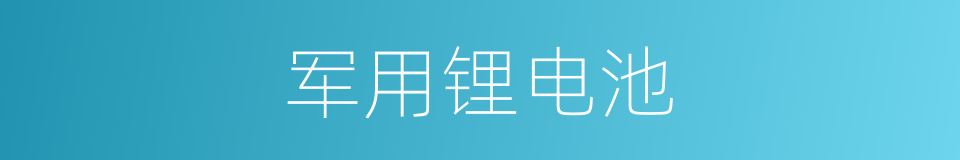 军用锂电池的同义词