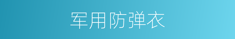 军用防弹衣的同义词