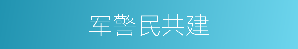 军警民共建的同义词