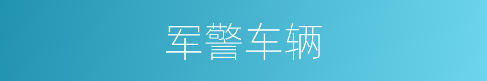 军警车辆的同义词
