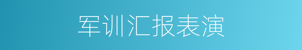 军训汇报表演的同义词