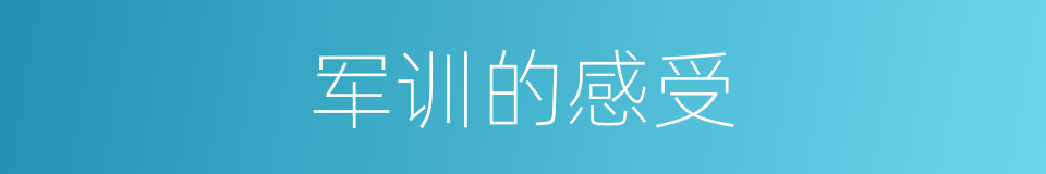 军训的感受的同义词