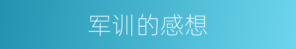 军训的感想的同义词