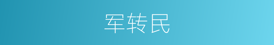 军转民的同义词