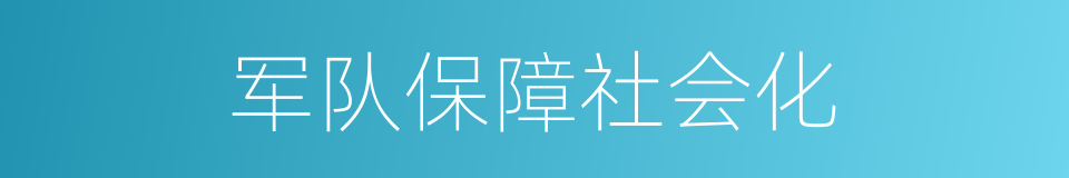 军队保障社会化的同义词