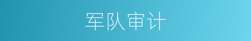 军队审计的同义词