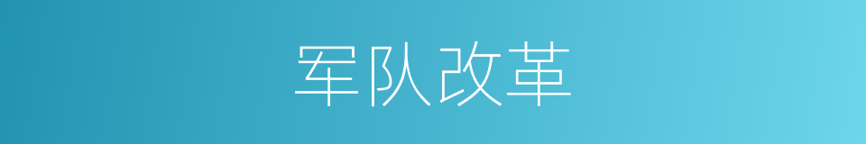 军队改革的同义词