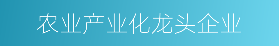 农业产业化龙头企业的同义词