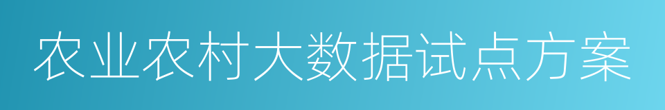 农业农村大数据试点方案的同义词