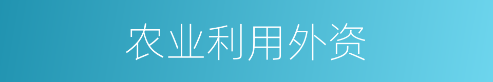 农业利用外资的同义词