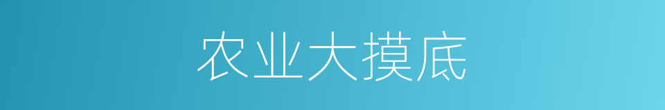 农业大摸底的同义词