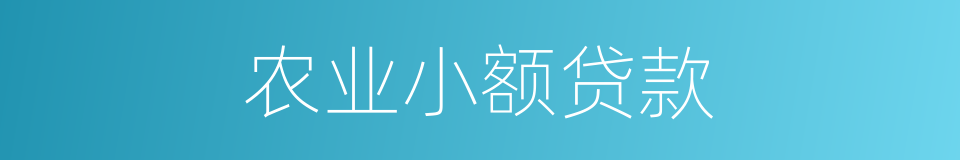 农业小额贷款的同义词