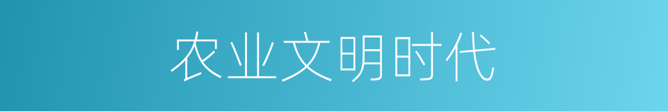 农业文明时代的同义词