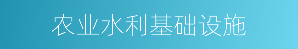 农业水利基础设施的同义词