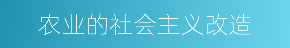 农业的社会主义改造的同义词