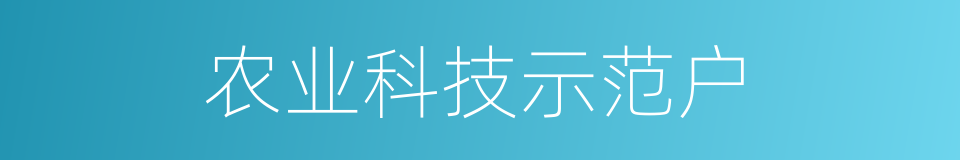 农业科技示范户的同义词