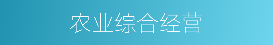 农业综合经营的同义词