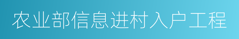 农业部信息进村入户工程的同义词