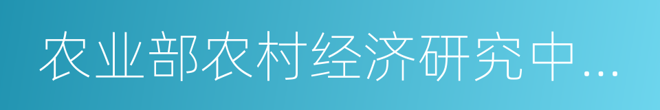 农业部农村经济研究中心主任宋洪远的同义词