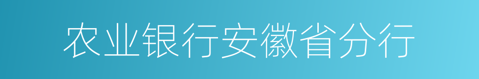 农业银行安徽省分行的同义词