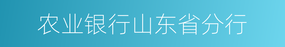 农业银行山东省分行的同义词