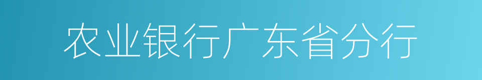 农业银行广东省分行的同义词