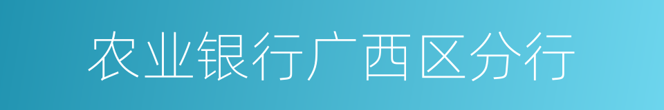 农业银行广西区分行的同义词