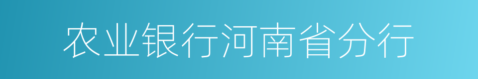 农业银行河南省分行的同义词