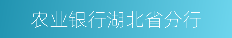 农业银行湖北省分行的同义词