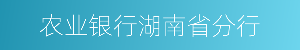 农业银行湖南省分行的同义词