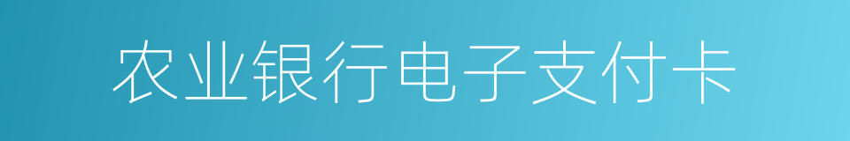 农业银行电子支付卡的同义词