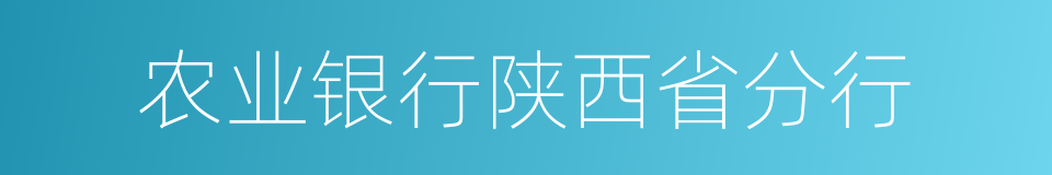 农业银行陕西省分行的同义词