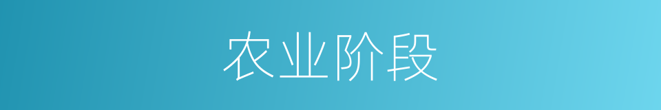农业阶段的同义词