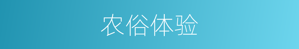 农俗体验的同义词