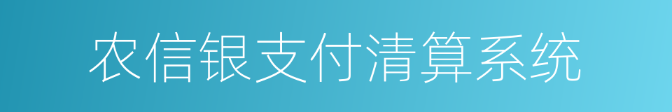 农信银支付清算系统的同义词