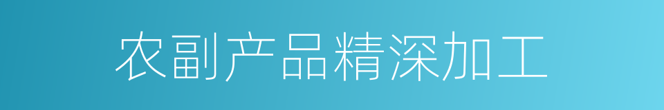 农副产品精深加工的同义词