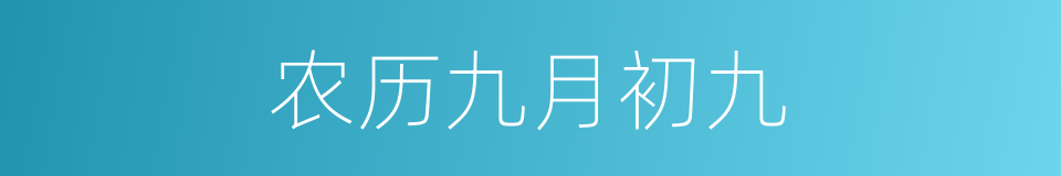 农历九月初九的同义词